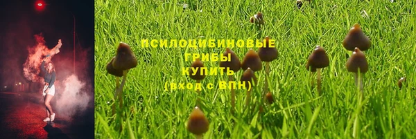 гидра Сосновка