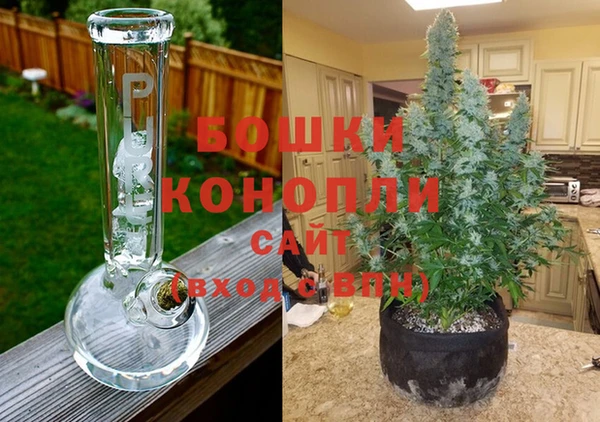 дурь Волосово