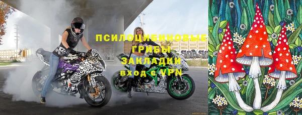 дурь Волосово