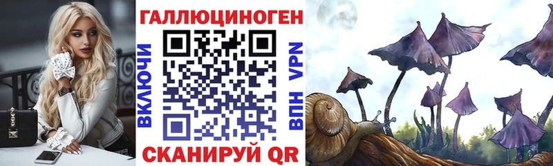 Псилоцибиновые грибы Magic Shrooms  Дятьково 
